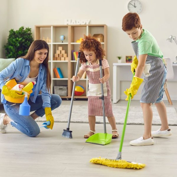 Deep Blue Clean Pros & Cons:No Shoes Policy Vacuuming & mopping1