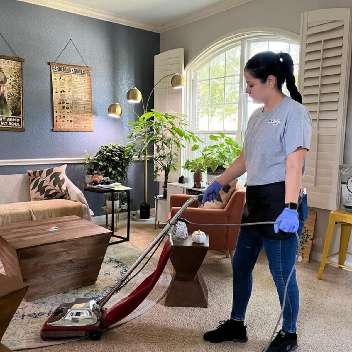 Weekly C;eaning Services bt Deep Blue Clean, IN