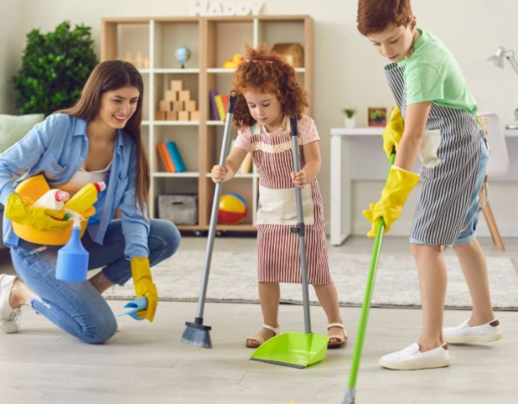 Deep Blue Clean Pros & Cons:No Shoes Policy Vacuuming & mopping1 Deep Blue Clean Pros & Cons:No Shoes Policy Vacuuming & mopping1