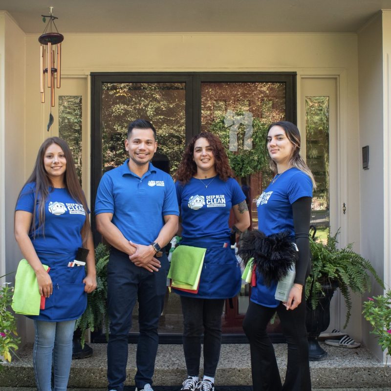 Eco-friendly cleaning products arranged neatly on a kitchen counter