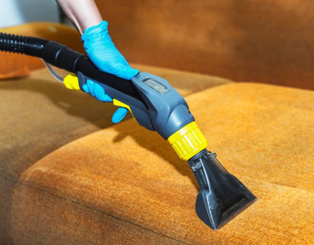 experienced cleaning professionals restoring cleanliness in busy household living areas