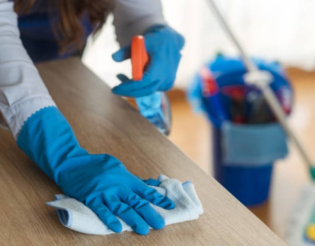 Deep Blue Clean delivering scheduled cleaning services for everyday home care