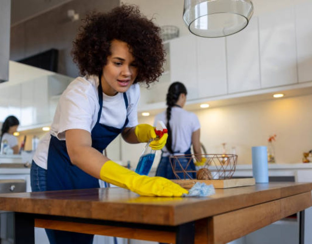 Expert recurring cleaning with detailed attention every visit