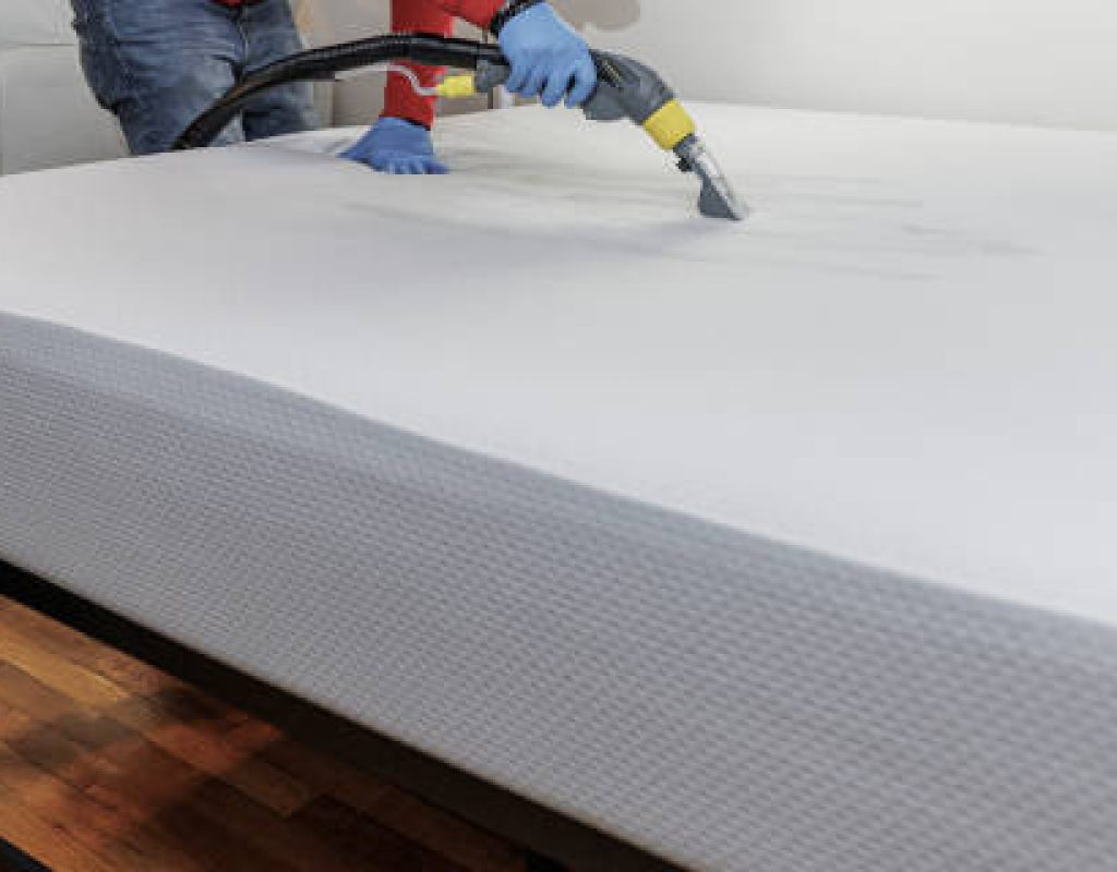 professional cleaners delivering detailed deep cleaning services for Deep Blue Clean